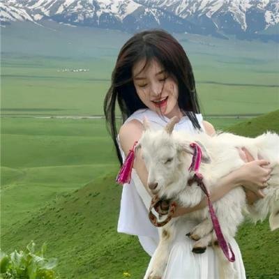 福冈恋爱白书12